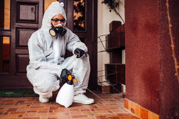Reliable Cockroach Control contractor in Deming, NM by Nex Pest Control
