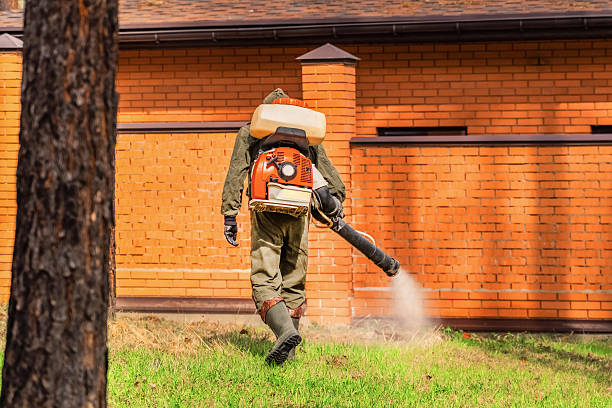 Trusted Rodent Control service in Deming, NM - Nex Pest Control